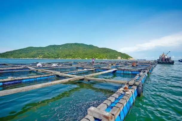 珠海市海淼水產(chǎn)公司引進(jìn)我司水產(chǎn)品質(zhì)量檢測儀