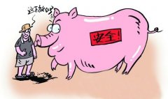 動物疫病診斷的方法有哪些？