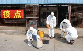 如何預(yù)防動物疫病？