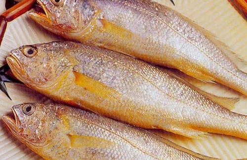 黃花魚中獸藥殘留超標(biāo)怎么看？