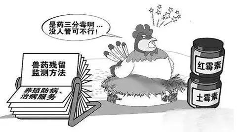 獸藥殘留超標新聞依然不斷，3種獸藥再次被禁止使用于動物中