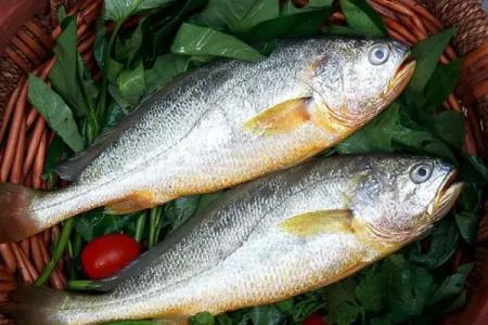 黑魚中檢測出孔雀石綠超標，黃魚中檢測出氧氟沙星超標