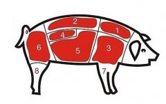 病害肉檢測儀讓老百姓吃上放心肉！