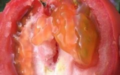 農殘快速檢測儀如何做到保障農產品安全的？