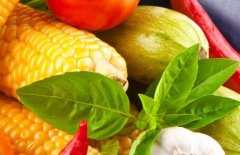 家庭適合配備食品安全檢測儀等精密儀器嗎？